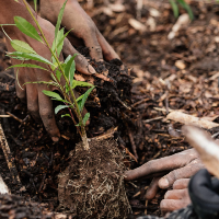 Group Profile Picture